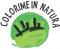 icona Colorime marzo 2020