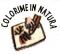 icona Colorime novembre 2019