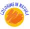 icona Colorime febbraio 2020