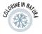 icona rime dicembre 2019